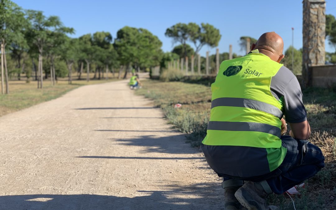 Instalación completa de Farolas Solares en el Parque de La Pulgosa de Albacete.